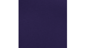Sash Purple rental Jupiter, FL