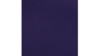 Sash Purple rental in Jupiter, FL
