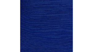 Sash Royal Blue Majestic rental Jupiter, FL
