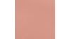 Sash- Coral - Polyester rental in Jupiter, FL