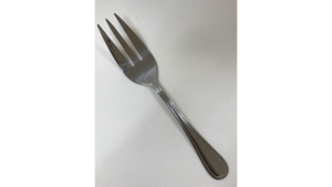 Ss Serving Fork 10" rental Jupiter, FL