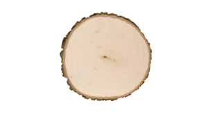 Walnut Hollow Plaques - Centerpiece rental Jupiter, FL