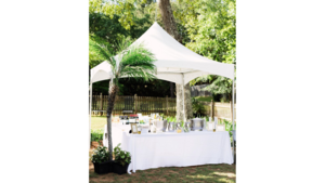 10'X10' Pinnacle Series High Peak Frame Tent rental Auburn, AL