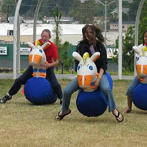 Hippity Hop Horses - 4 Horses, Cones rental San Diego, CA