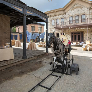 Rodeo Roper rental San Diego, CA