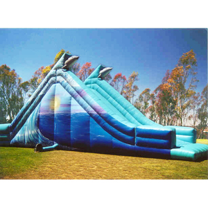 Slide Inflatable - Dolphin 50' Long, rental San Diego, CA