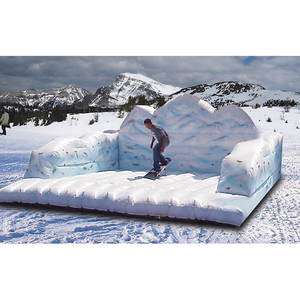 Snowboard - Alpine Surfer rental San Diego, CA