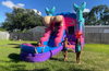 Mermaid Bounce House Combo W/ Wet Or Dry Water rental in Houston, TX