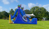 Minions Wet Or Dry Water Slide rental in Houston, TX