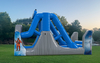 Star Wars Wet Or Dry Water Slide rental in Houston, TX