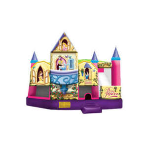 Disney Princess 5in1 W/ (Wet Or Dry Slide) rental Houston, TX
