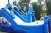 Frozen Double (Dry Or Wet/Water Slide) rental in Houston, TX