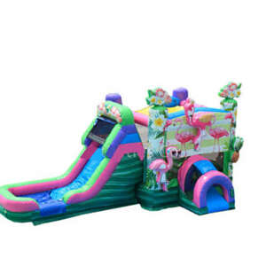 Flamingo Bounce House Combo W rental Houston, TX