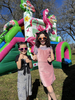 Flamingo Bounce House Combo W rental in Houston, TX