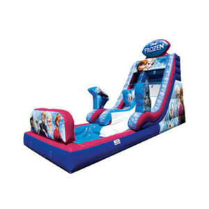 Frozen Slide With Pool (Dry/Wet) rental Houston, TX