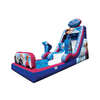 Frozen Slide With Pool (Dry/Wet) rental in Houston, TX
