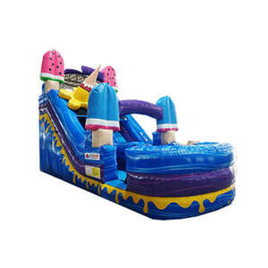 Ice Cream Wet Or Dry Slide rental Houston, TX