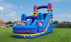 Ice Cream Wet Or Dry Slide rental in Houston, TX