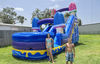 Ice Cream Wet Or Dry Slide rental in Houston, TX