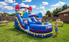 Ice Cream Wet Or Dry Slide rental in Houston, TX