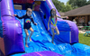 Llama Bounce House Combo W rental in Houston, TX