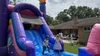 Llama Bounce House Combo W rental in Houston, TX