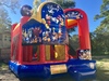 World Of Disney 4in1 W/ (Wet Or Dry) Slide rental in Houston, TX
