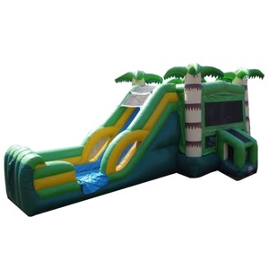 Palm Tree Bounce House Combo Wet Or Dry Slide rental Houston, TX
