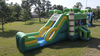 Palm Tree Bounce House Combo Wet Or Dry Slide rental in Houston, TX