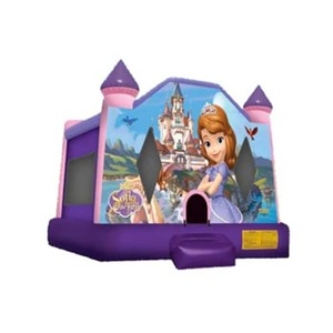 13 X 13 Sofia The First Bounce House rental Houston, TX