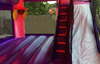 Sofia The First Bounce House Moonwalk W rental in Houston, TX