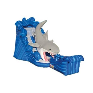 Gone Fish’N Shark Wet/Dry Slide rental Houston, TX