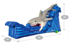 Gone Fish’N Shark Wet/Dry Slide rental in Houston, TX