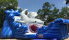 Gone Fish’N Shark Wet/Dry Slide rental in Houston, TX