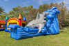 Gone Fish’N Shark Wet/Dry Slide rental in Houston, TX