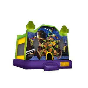 13 X 13 Ninja Turtles Bounce House rental Houston, TX