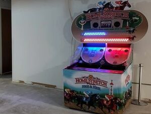 Neck & Neck Home Stretch Racing Game rental New York, NY