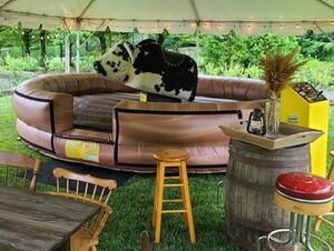Mechanical Bull Rental, 4 Hours rental New York, NY