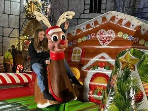 Mechanical Reindeer Rental, 4 Hours W/ Operator rental New York, NY