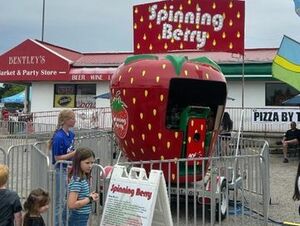 Spinning Berry Carnival Ride Rental rental New York, NY