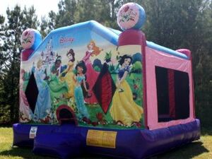 Princess Palooza Castle rental New York, NY