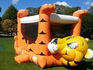 Tiger Belly Bouncer rental New York, NY