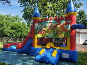 Dragon'S Castle Combo rental New York, NY