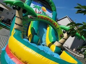 Tropical Palms Slide rental New York, NY