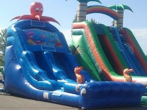 Octopus Slide rental New York, NY