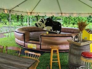 Mechanical Bull Rental rental New York, NY