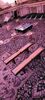 12 Ft Shuffleboard Table Rentals rental in New York, NY
