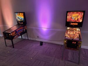 Viper Night Drivin' Pinball rental New York, NY