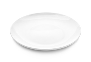 Dinner Plate rental Houston, TX