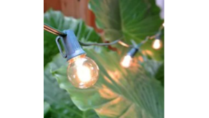 Bistro Lights - 25' rental Northern Virginia - Winchester - Leesburg, VA